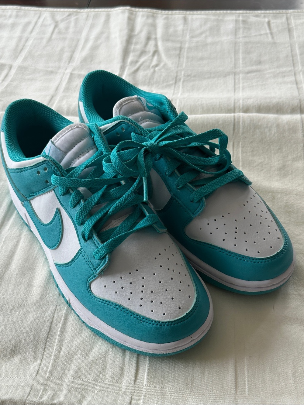 Nike Dunk Next Nature Low “Dusty Cactus” 8.5 women’s NWOT